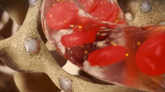 ЧТО ВОЛОСЫ НА ТЕЛЕ ГОВОРЯТ О ЖЕНЩИНЕ смотреть онлайн