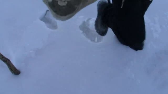 СЛОЕНЫЕ ЛАВАШИ Каток на огороде Черенки Подарки на 8 марта смотреть онлайн
