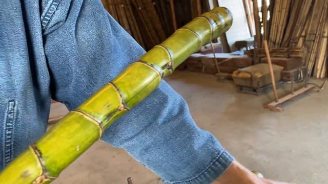 【竹虎】布袋様のお腹のような竹！？握り心地最高の遍路杖できました！ 竹チューバー竹虎四代目の世界 Bamboo wand смотреть онлайн