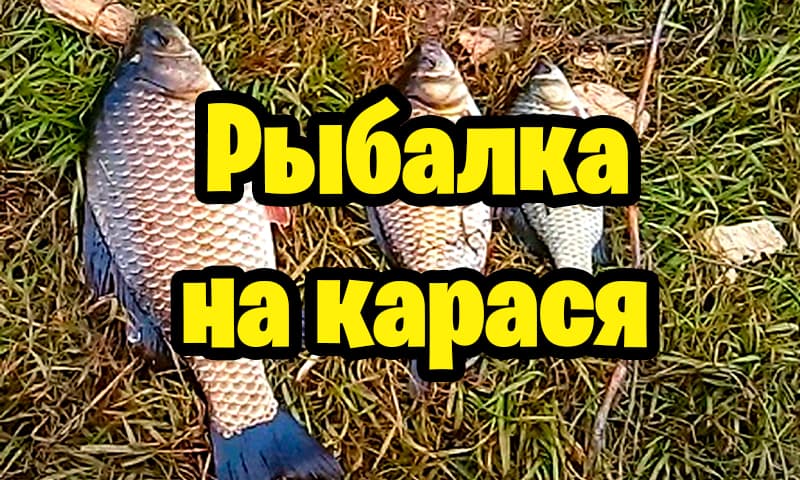 Рыбалка на карася смотреть онлайн