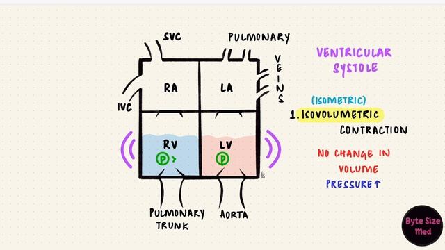 Cardiac Cycle | Events | Part 1 | Cardiac Physiology смотреть онлайн