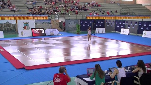 Silvia Garcia N8 FinalCampESP14 смотреть онлайн