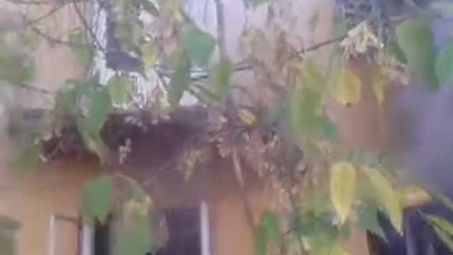 пожар в челябинске на улице островского смотреть онлайн