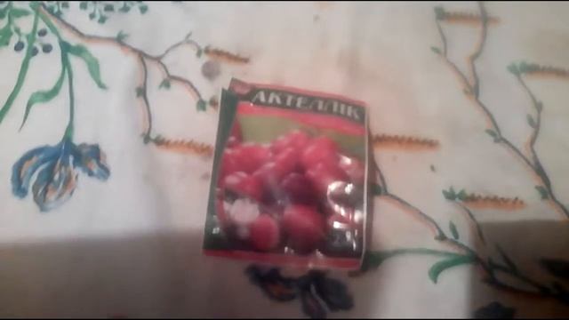 Актеллик обработка домашних растений смотреть онлайн