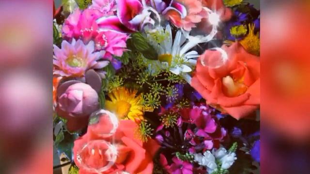 С Днем Рождения Елена?! Вселенского Счастья Леночка!красивая видео открытка с пожеланиями!??? смотреть онлайн