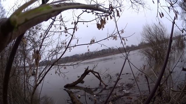 Весенняя охота на селезня с манком и чучелами. Spring hunting duck decoy with stuffed and. смотреть онлайн
