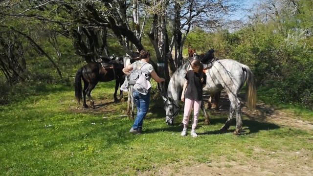 ДЖИП ТУР Ахштырское ущелье смотреть онлайн