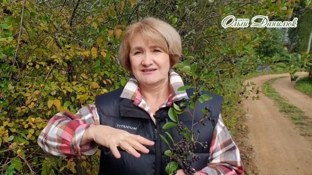 Мастерство и Радость