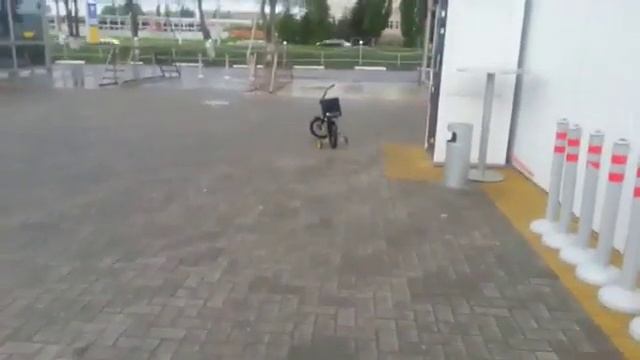 Велик валит :) смотреть онлайн