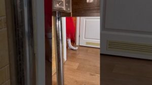 Света и Дух ПИКОВАЯ ДАМА в реальной жизни. Страшное видео про пиковую даму