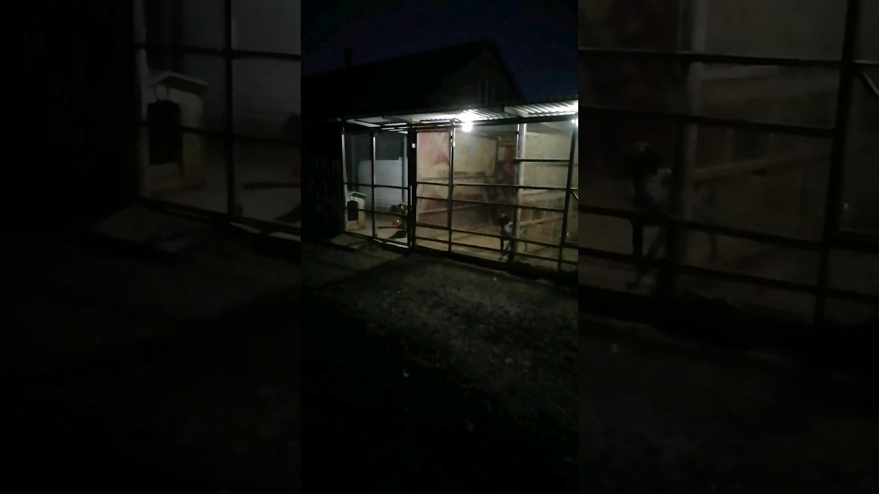 Ждуны! смотреть онлайн