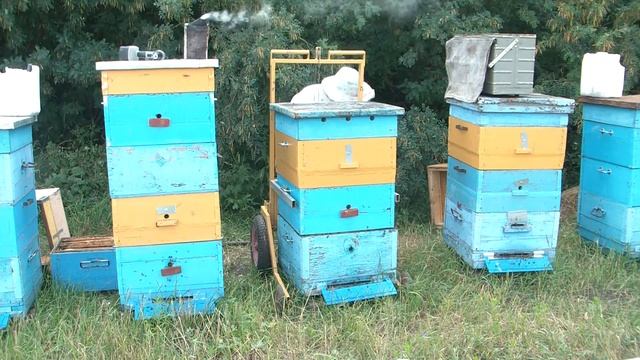 Подъемник для ульев смотреть онлайн