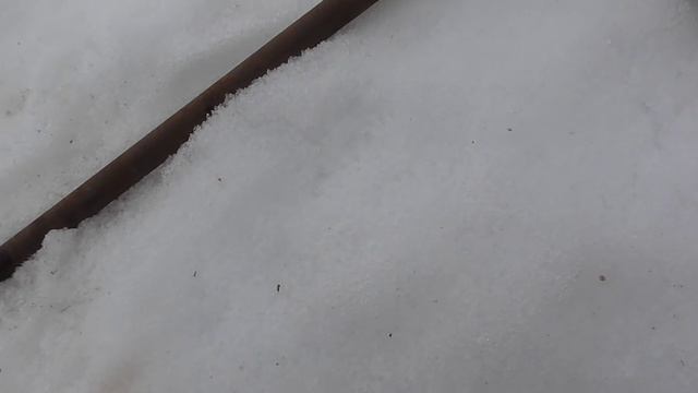 Присада для ястреба смотреть онлайн