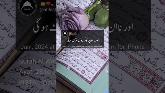 Surah Al Waqiah 28 to 37 🤲💖🌼 #quran #allah #muhammad # смотреть онлайн