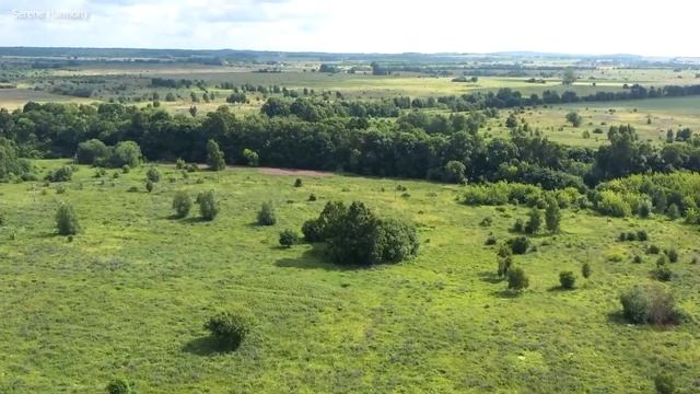 Гармония фортепиано в раю: снятие стресса и красота природы #2 смотреть онлайн