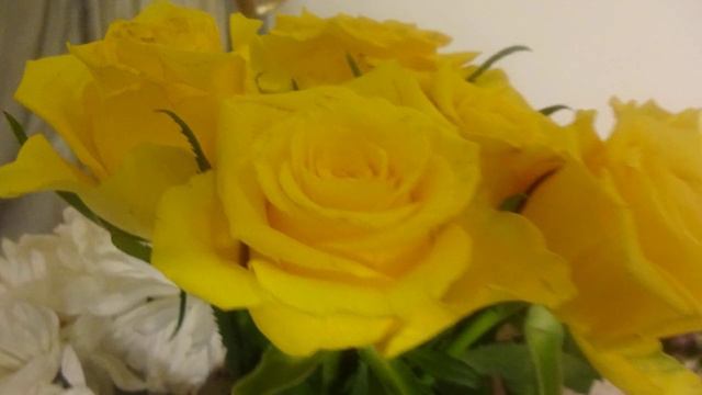 [156 D] Violin And Piano By Gerald Spitzner (Rosenvideo)