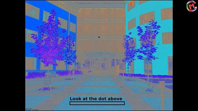 সাবধান ! ভিডিওটি দেখলে মাথা ঘুরবে INSANE OPTICAL ILLUSIONS TO MAKE YOU DIZZY смотреть онлайн