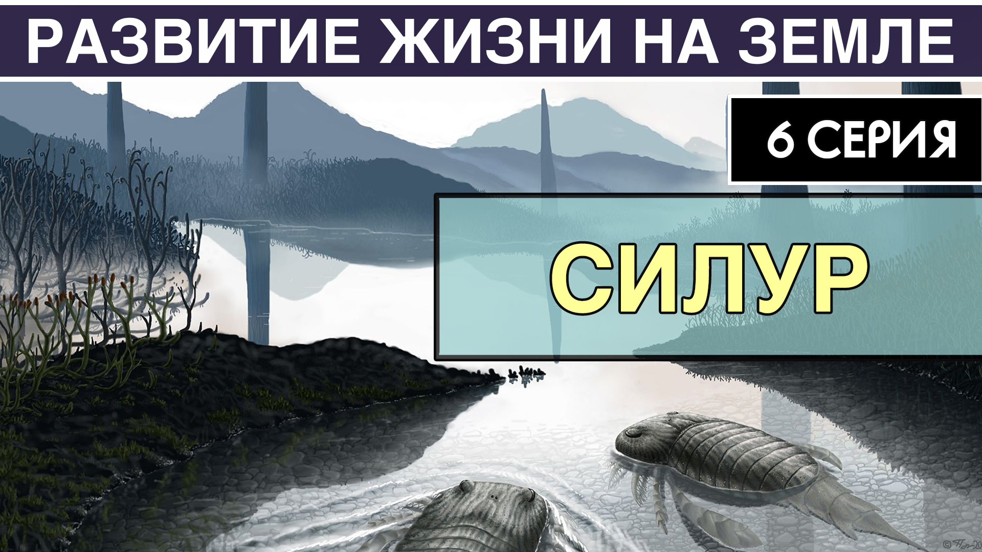 СИЛУРИЙСКИЙ ПЕРИОД. Развитие жизни на Земле. 6 серия | Колонизация суши смотреть онлайн