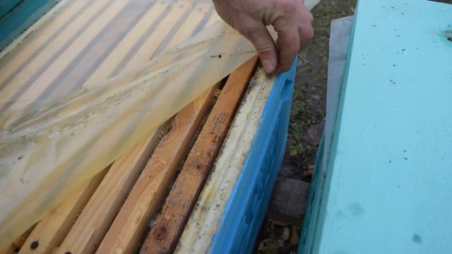 Влага в ППУ ульях смотреть онлайн