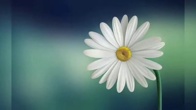 copying free background music #copyright free смотреть онлайн