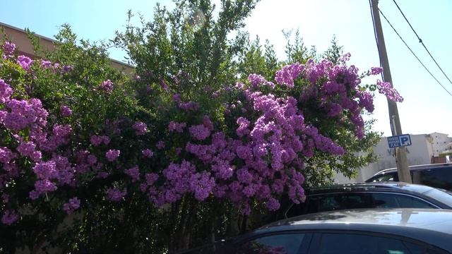 Test Sony FDR-AX43 4K BIH 2 dio смотреть онлайн