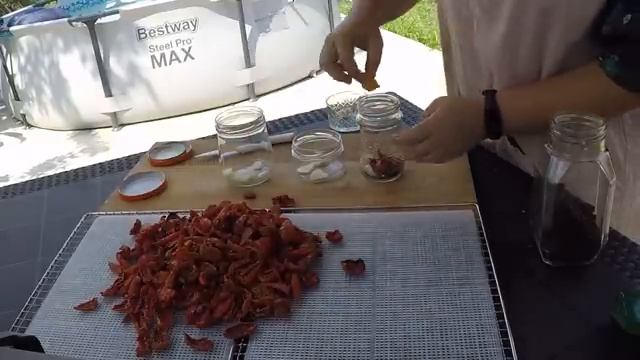 КУПИЛ ДОМ В ДЕРЕВНЕ на самом ЮГЕ РОССИИ. Лето на СЕВЕРНОМ КАВКАЗЕ. Деревенская жизнь в России смотреть онлайн