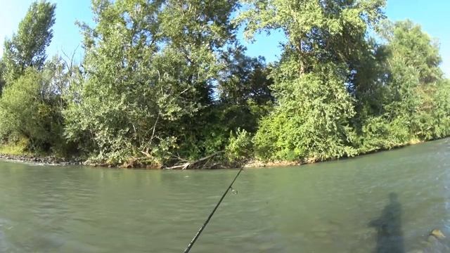 ЭТА БЛЕСНА ПРОСТО КОСИТ ГОЛАВЛЯ. Рыбалка на голавля р. Белая. Рыбалка август 2019 смотреть онлайн