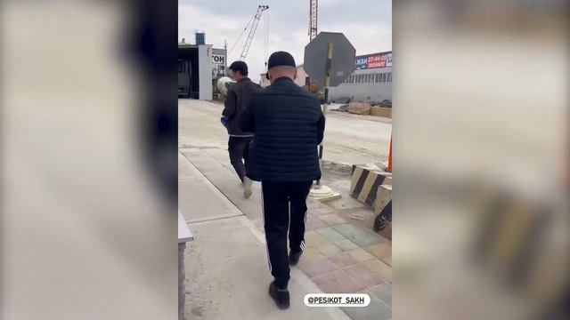 Строительный грунт раздают в Южно-Сахалинске за собачий корм смотреть онлайн