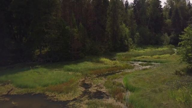 СНТ Елица (СНТ Мир, Рублевец, Ольха, Алексино, Гомнино, Сокол, Эра, Мосгоргеотрест, Ручей) смотреть онлайн