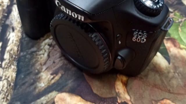 CANON EOS 60D CAMERA REVIEW [2023] COMPREHENSIVE VIDEO REVIEW смотреть онлайн