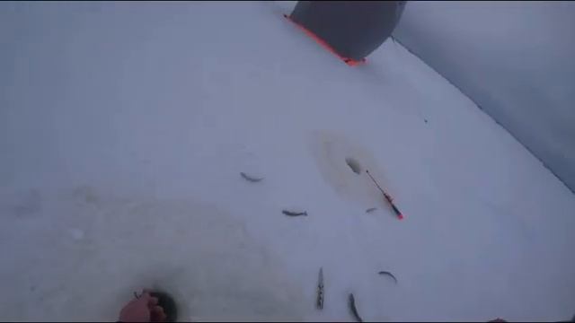 Архангельская область ловля корюшки на море 18+ смотреть онлайн