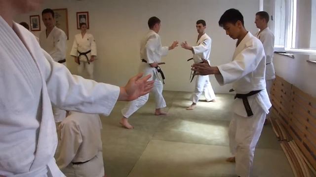 May 2014. Seminar with Takehiko Sonoda Shihan 8. Dan Aikido Yoshinkan. смотреть онлайн