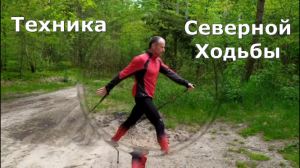 Техника Северной (скандинавской) Ходьбы.