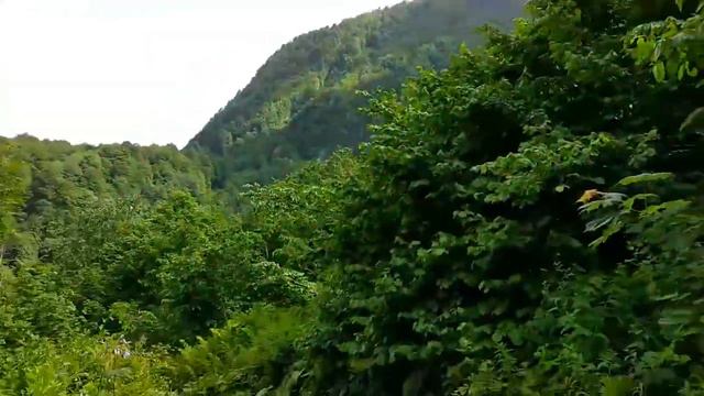 Красная Поляна, дорожка 👣к водопаду ПОЛИКАРЯ. смотреть онлайн