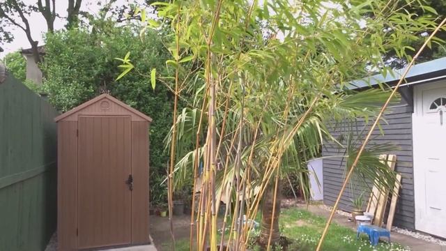 How to use Coffee Grounds as a FREE Fertilizer for your Plants смотреть онлайн