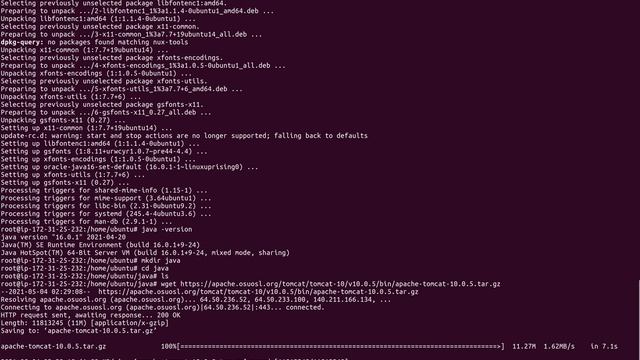 Setup Tomcat 10.0.5 and Java 16 on EC2 instance | Latest version Tomcat Server and Java (1) смотреть онлайн