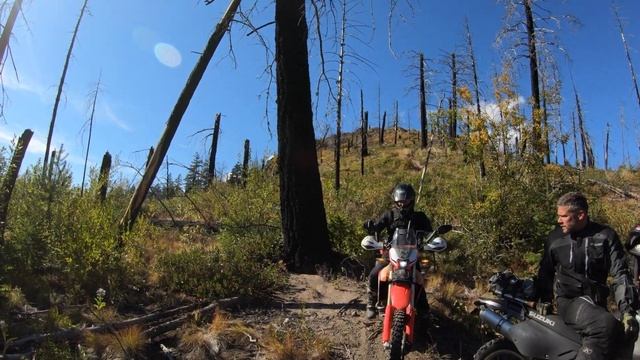 Big Mountain Single Track | DR 650 & CRF 450L