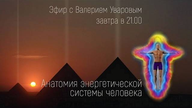Анатомия энергетической системы человека смотреть онлайн