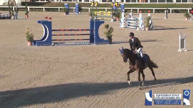 Halo Sun (2015 Cornet) 2nd place CSIYH Arezzo смотреть онлайн
