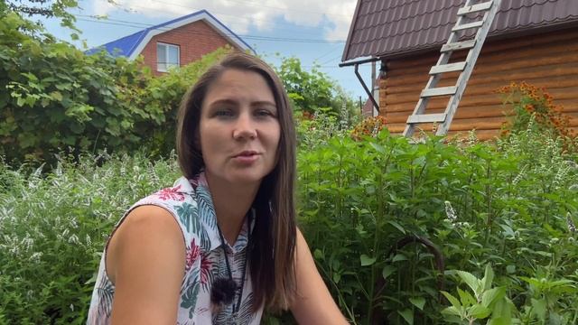 Нужно ли удобрять мяту? ЧЕМ удобрять мяту. Osmocote смотреть онлайн