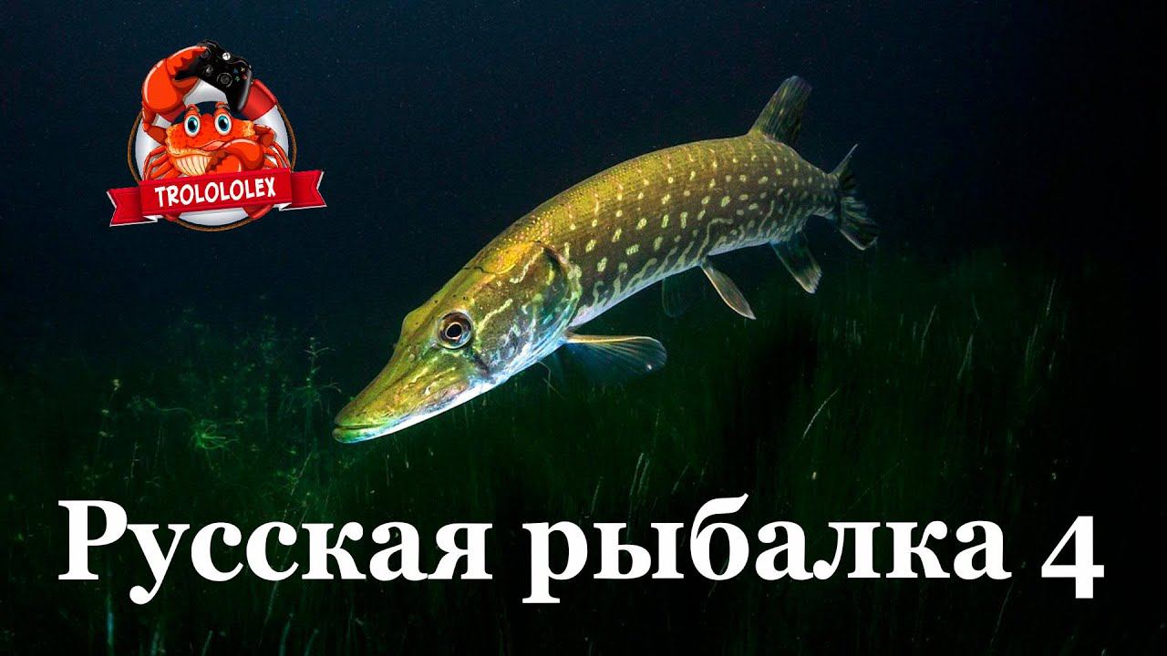 Русская рыбалка 4 Щука на старом остроге смотреть онлайн