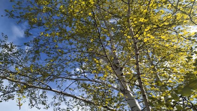 7 мая. ДЕНЬ ЕВСЕЯ.Народные приметы. Что нельзя и что можно делать смотреть онлайн