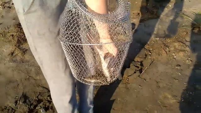 Обзор Моего ? Улова на Реке Иртыш в 6 Часов Утра! -Это Просто ШОК! 2 СТЕРЛЯДИ на Одной...! 7 Часть! смотреть онлайн