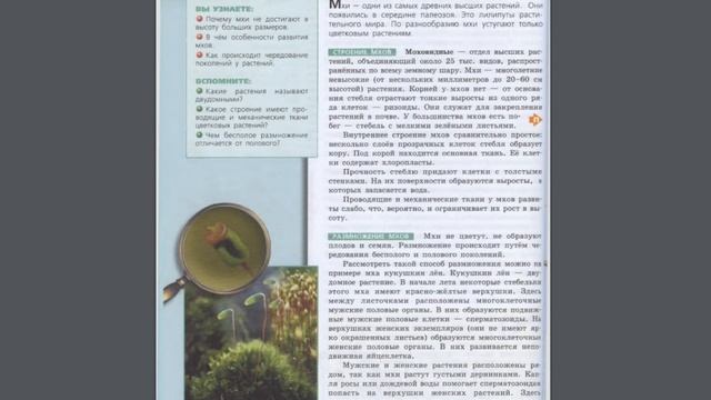 Биология (Л.Н.Сухорукова) 7к §13 Отдел Моховидные смотреть онлайн