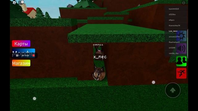 ищу морфы флоп смотреть онлайн