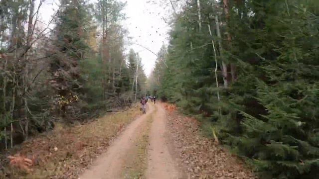 17 октября 2020, Мещера часть 6. смотреть онлайн
