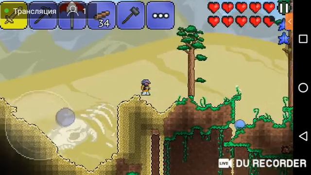 стрим по terraria начало смотреть онлайн