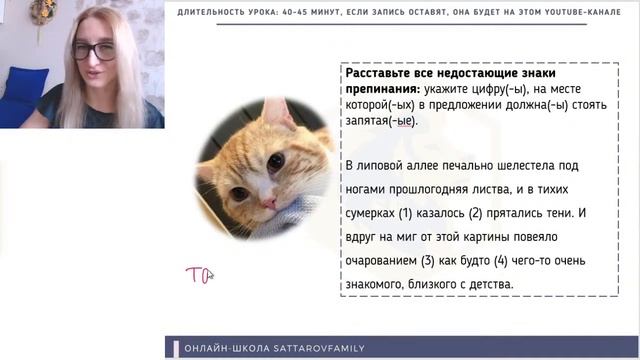 Вся пунктуация за 40 минут! смотреть онлайн