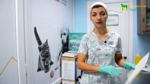 У кошки проблемы с зубами