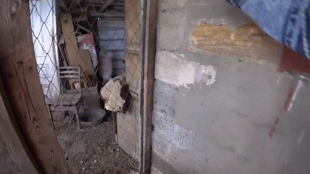 МОИ КВОЧКИ-НАСЕДКИ. Тёплый день, все довольны! смотреть онлайн
